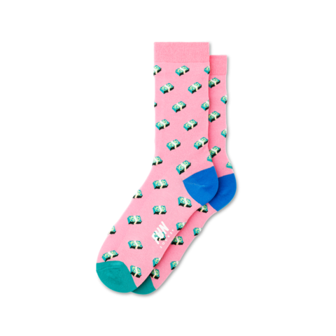 Women's Money Socks